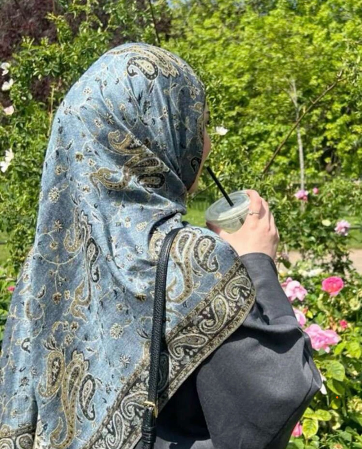 Pashmina scarves